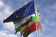 Center for International Affairs and World Cultures Fund